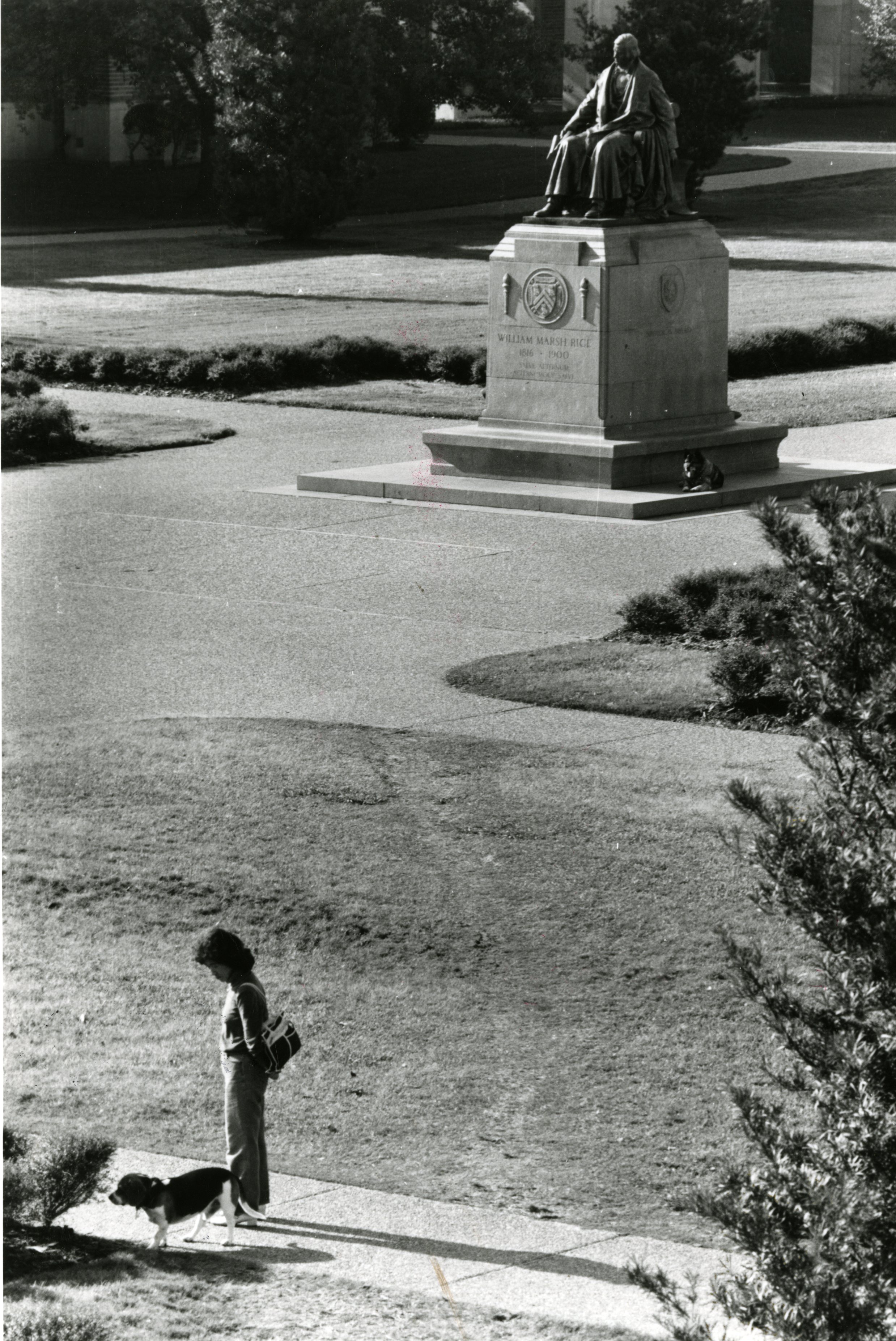 Rice university essays picture